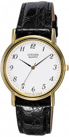 Citizen CAM001 Bayan Saat, Fiyatı ve Özellikleri